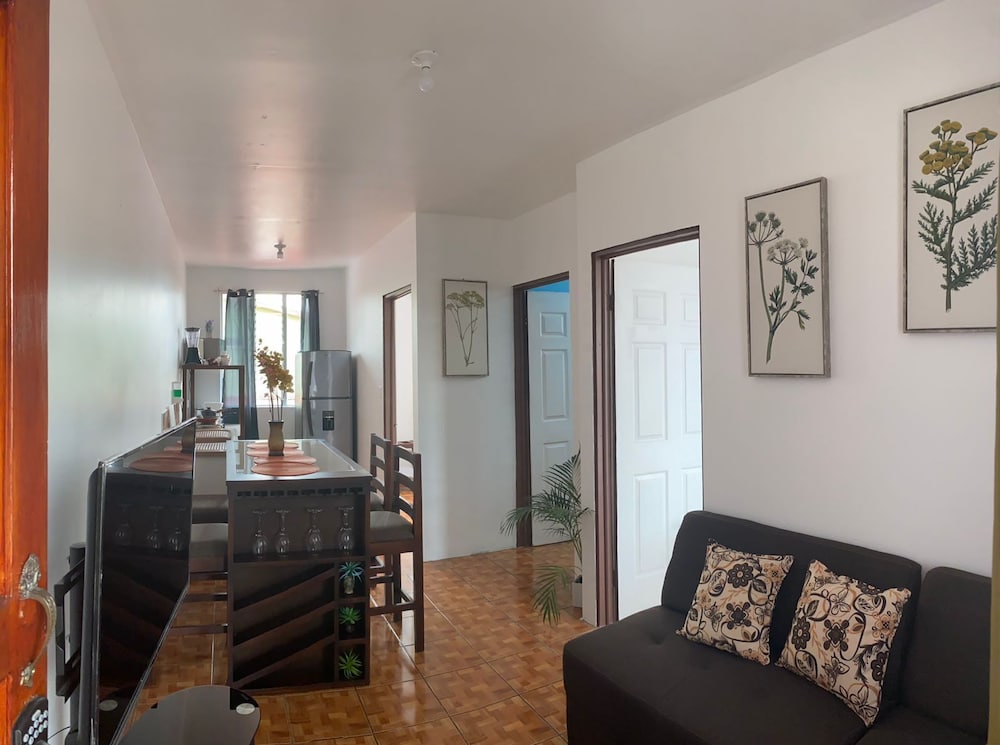 Coati Del Arenal in La Fortuna, Costa Rica