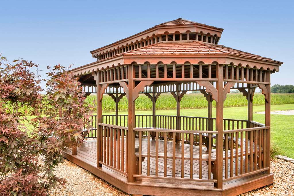 Super 8 by Wyndham Grayville - photo 21