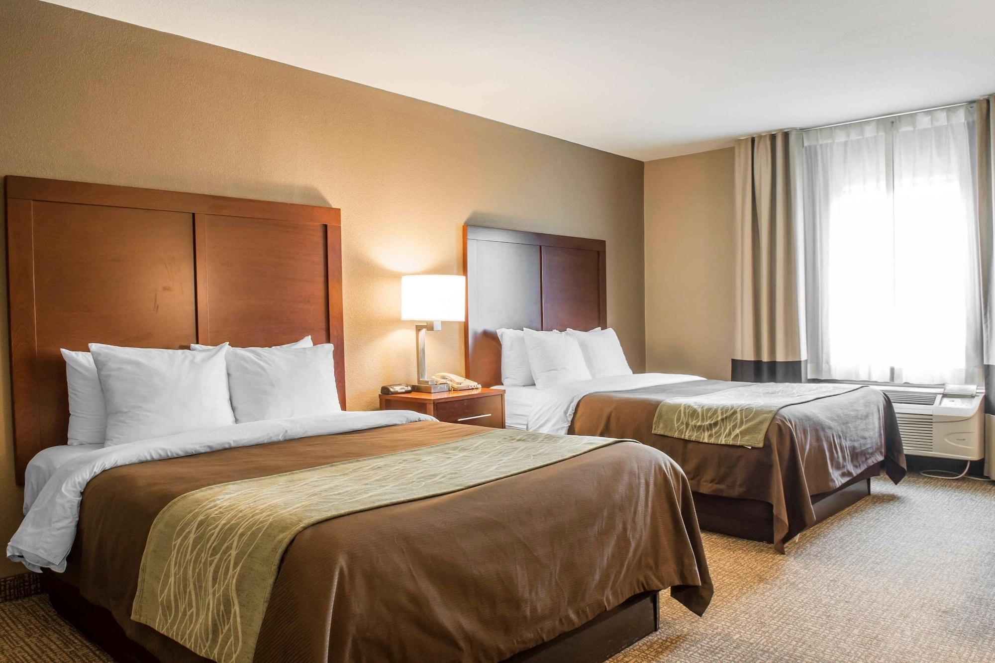 Comfort Inn Edinburg South - photo 3