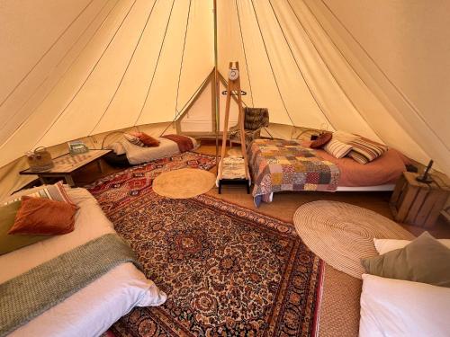 Glamping Josephine in Geel, Belgium
