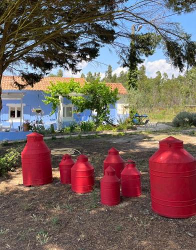 Quintal Alentejano in Zambujeira Do Mar, Portugal