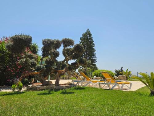 Villa Curubell — Korba — photo 4