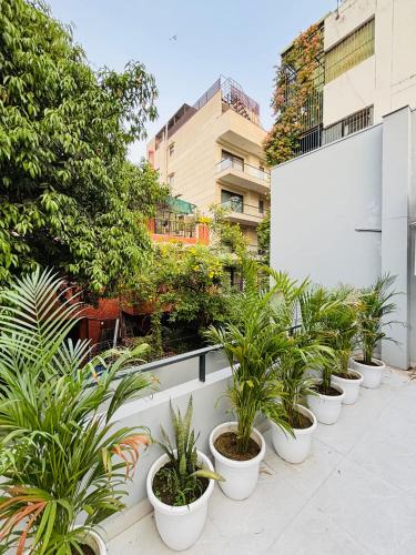 2BHK Velvet retreats