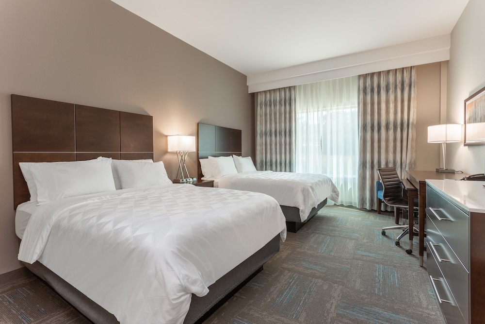 Holiday Inn Hotel & Suites Jefferson City by IHG - photo 8