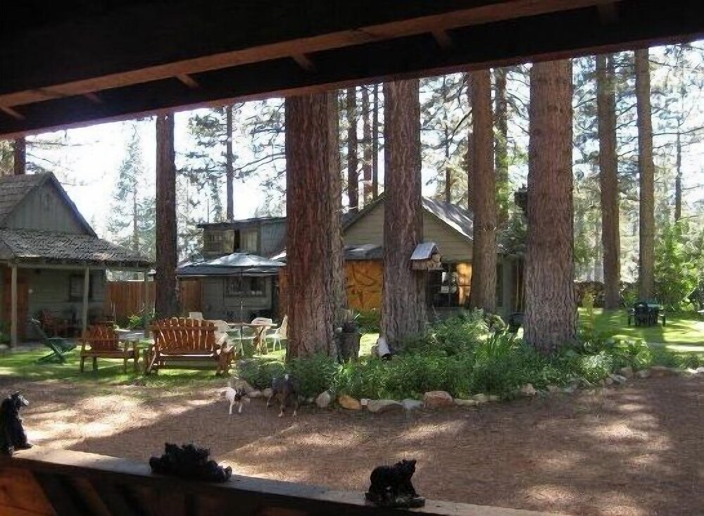 Holly's Place - photo 38