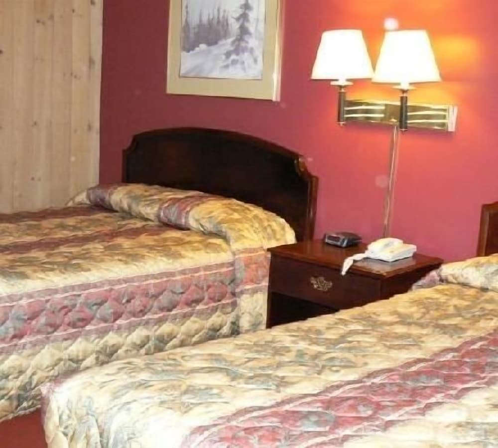 Snowy Owl Inn And Resort - photo 8