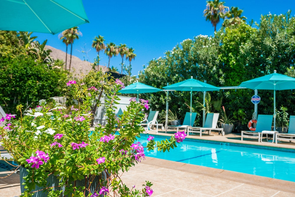 BelleVue Oasis Palm Springs Adults Only - photo 41