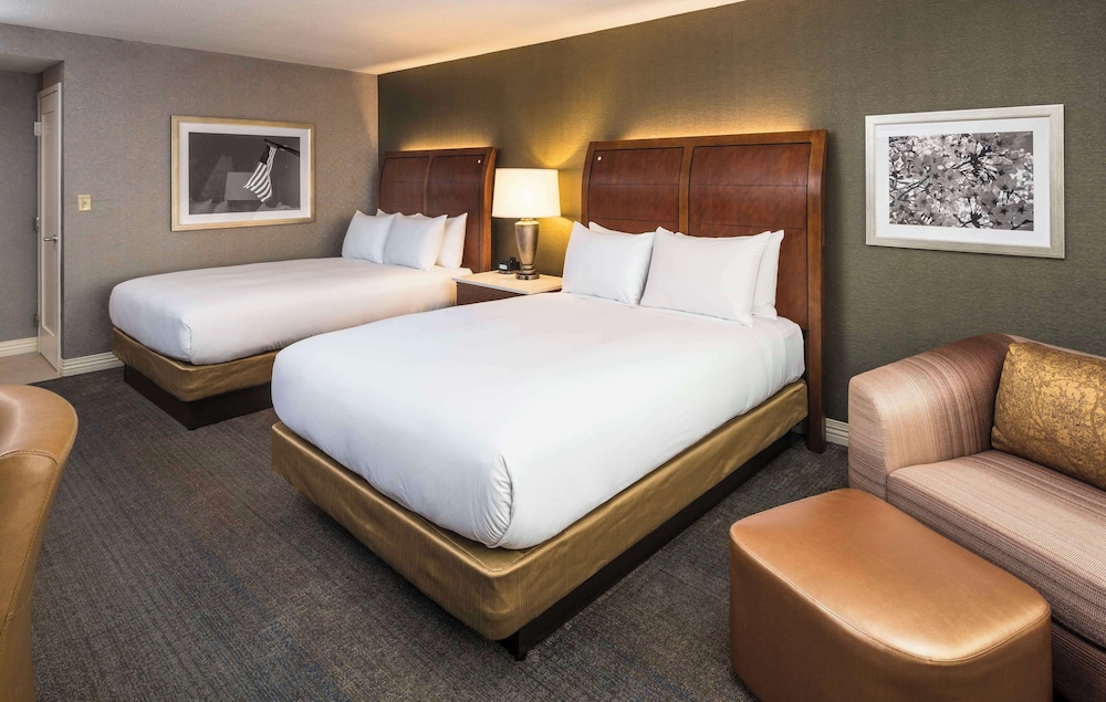 Hilton Washington DC Rockville Hotel & Executive Meeting Ctr - photo 10