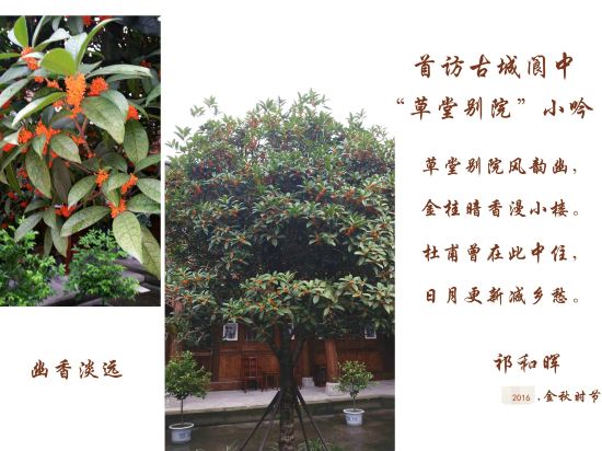 Caotang Bieyuan Hotel in Langzhong, People's Republic of China