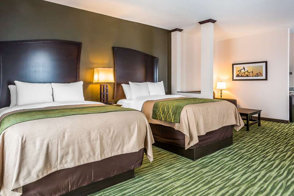 Comfort Inn & Suites Moore Oklahoma City - photo 16