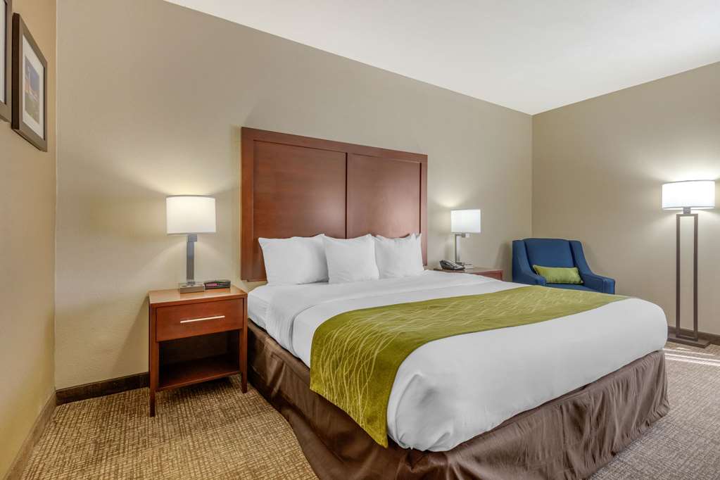 Comfort Inn Lenoir City Knoxville - photo 7