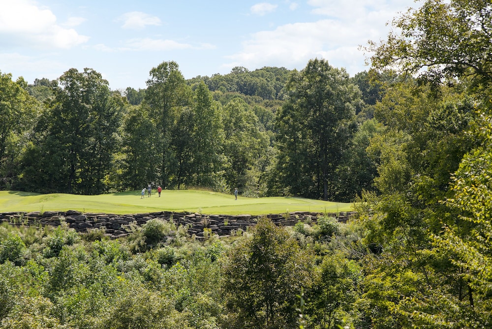 Dale Hollow Lake State Resort Park - photo 20