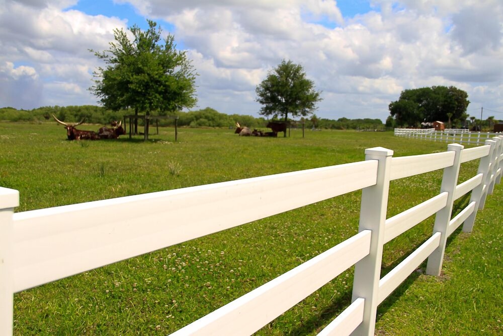 Westgate River Ranch Resort & Rodeo - photo 179