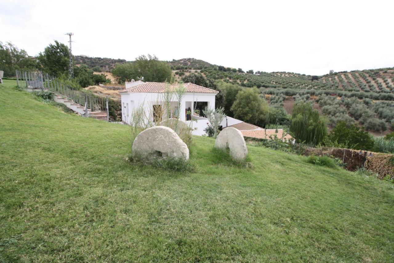 El Molino — Alcala Del Valle — photo 4