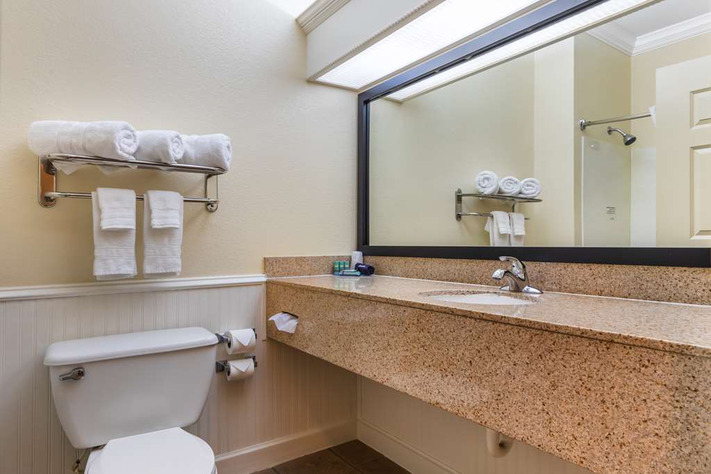 Best Western Dinosaur Valley Inn & Suites - photo 15