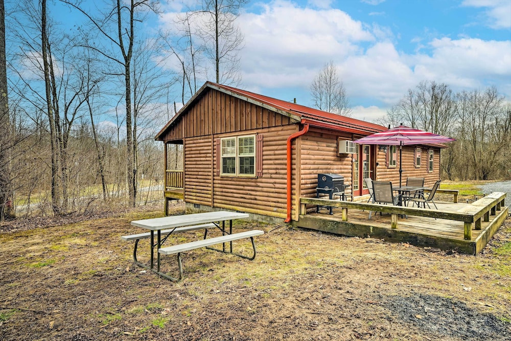 Cozy Cabin In Parsons Hike Fish And Explore 18268391 — Parsons