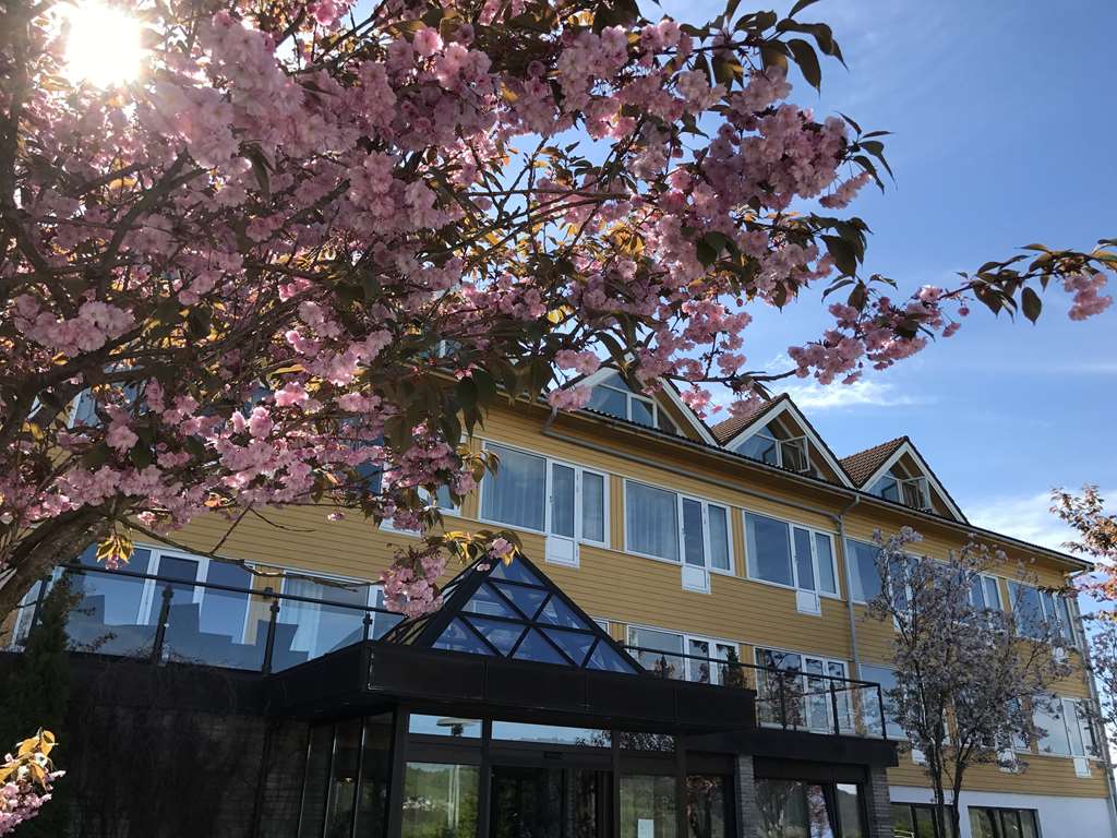 Alver Hotel — Lindas — photo 2