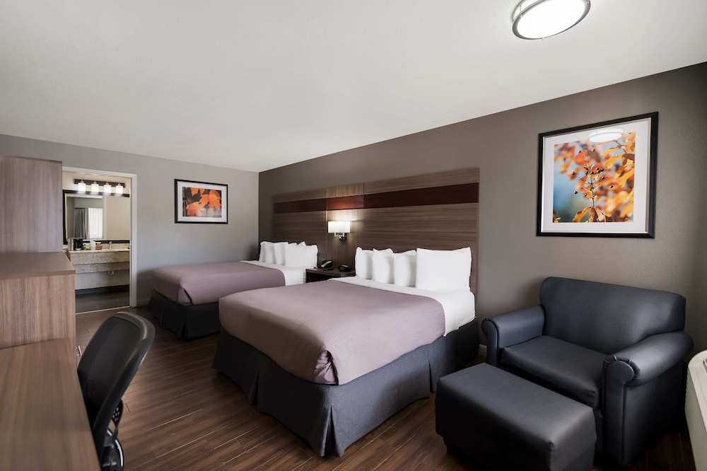 Best Western Minden Inn - photo 13