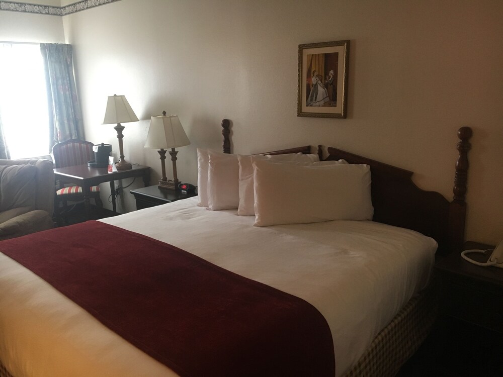 Hotel Grand Victorian - photo 18