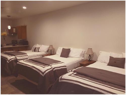 Harbour Inn - photo 30