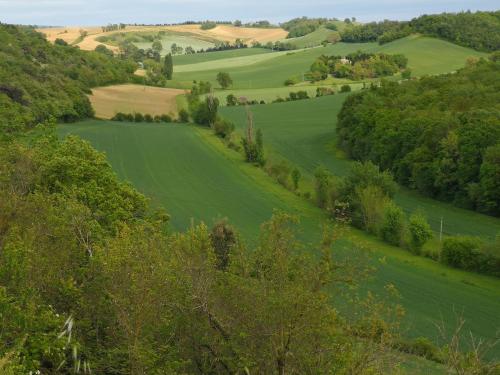Le Moulin Pastelier — Castelnaudary — photo 3