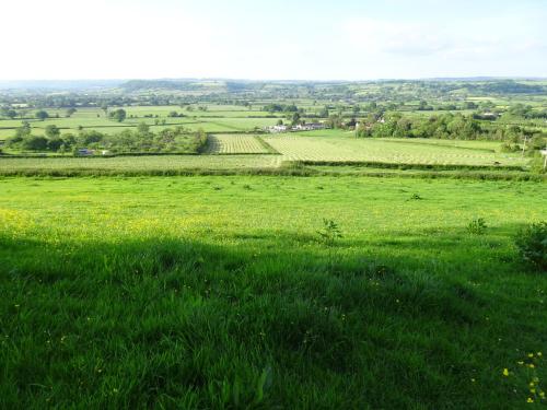 The Lazy Shepherd — Shepton Mallet — photo 4