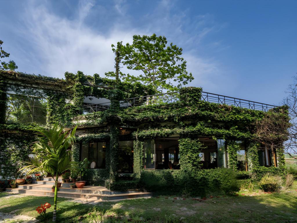 The Riverwood Forest Retreat Dooars — Jalpaiguri