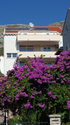 Apartments Laus — 4-Star Luxury Hotel in Dubrovnik, Croatia