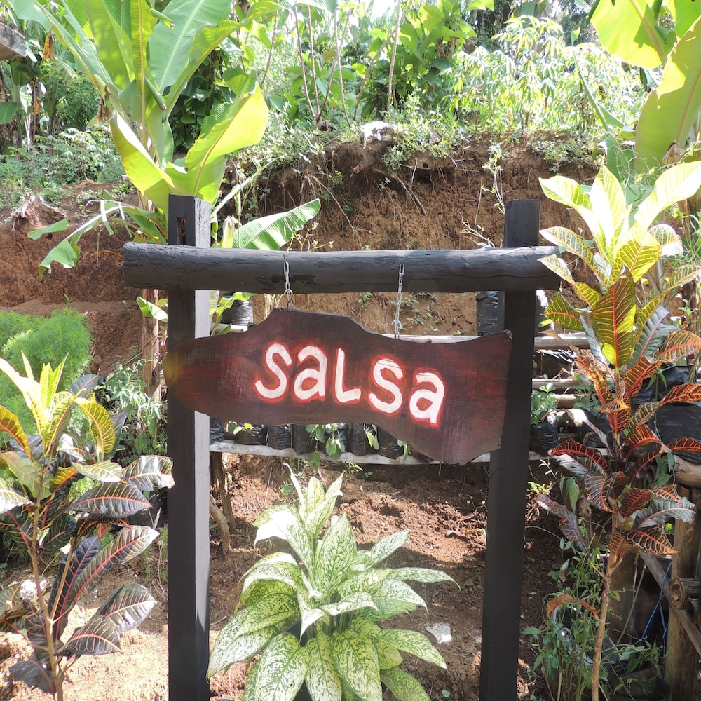 Penginapan Salsa — hotel in Kalirejo