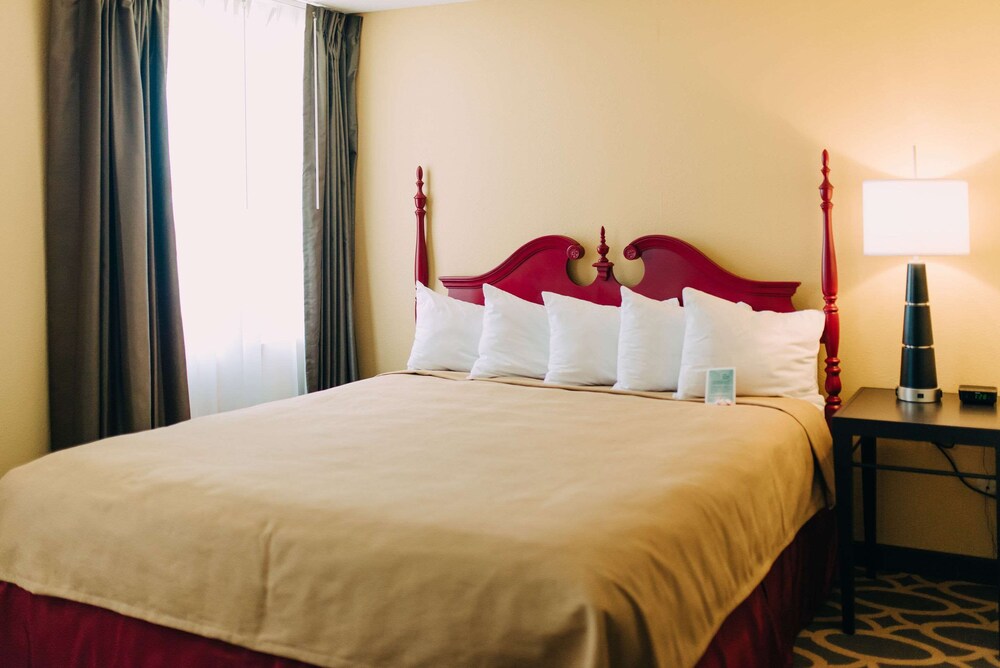 Bigelow Hotel and Residences Ascend Hotel Collection - photo 41