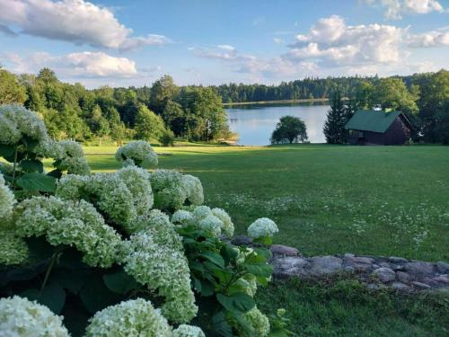 Lake 4U - last minute hotel in Unknown City