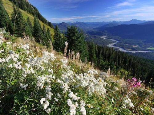 North Cascades Inn - photo 19