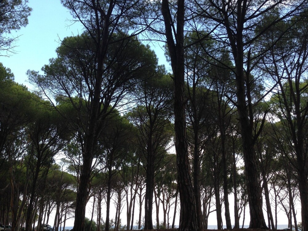Cavalli di S'Arcaite - carbon neutral hotel in Siniscola