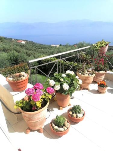 White Hill Platanos — hotel in Akrata