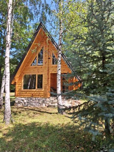 Forest Rhapsody Brezna in Pluzine, Montenegro