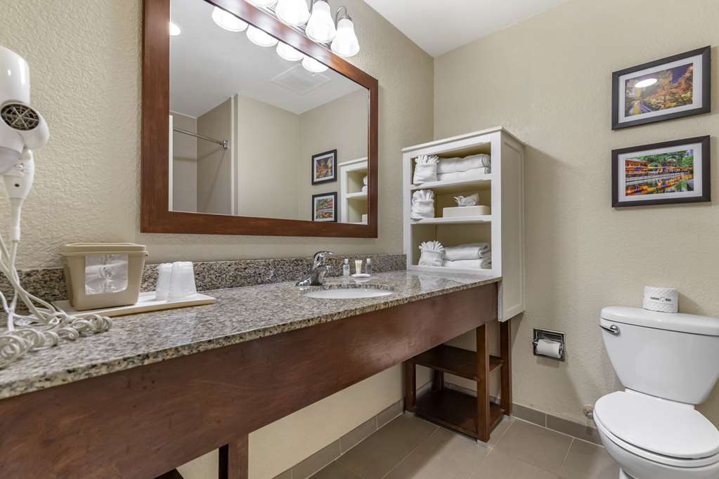 Comfort Suites Medical Center near Six Flags - photo 18