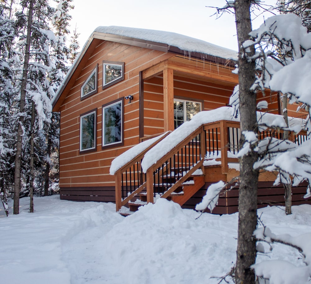 Denali Wild Stay - photo 8