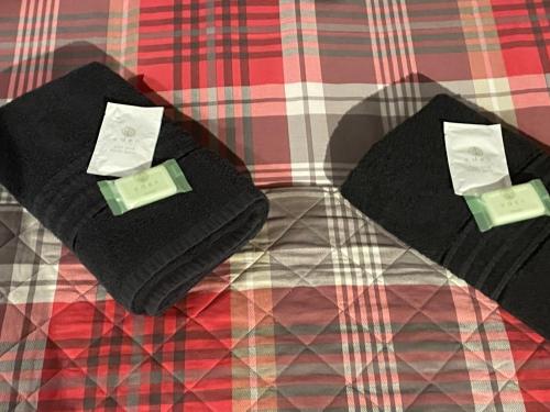 Sarnia holiday flats — Blackpool — photo 2