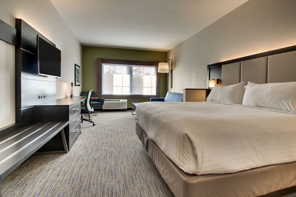 Holiday Inn Express & Suites Summerville by IHG - photo 13
