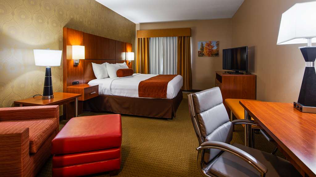Best Western Plus Finger Lakes Inn & Suites - photo 15