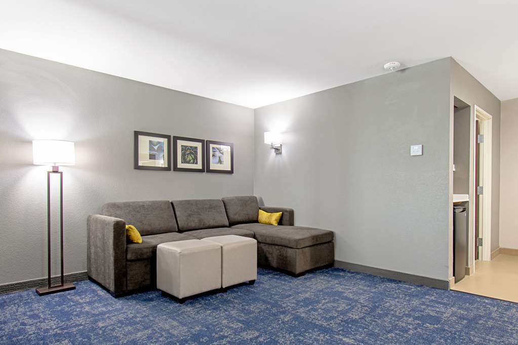 Comfort Suites Humble Houston IAH - photo 15