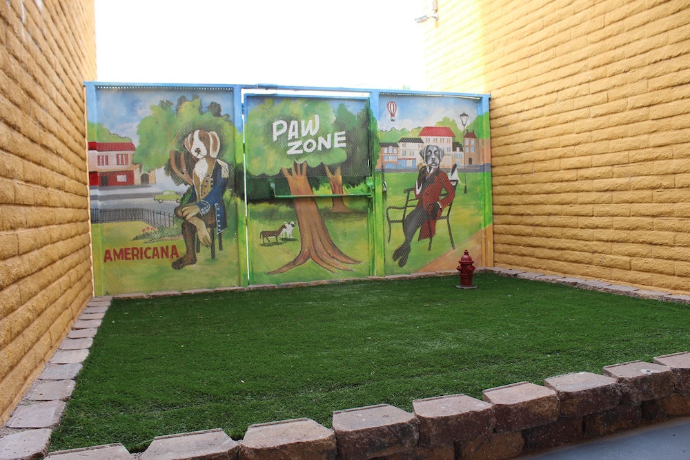Quality Hotel Americana Nogales - photo 39