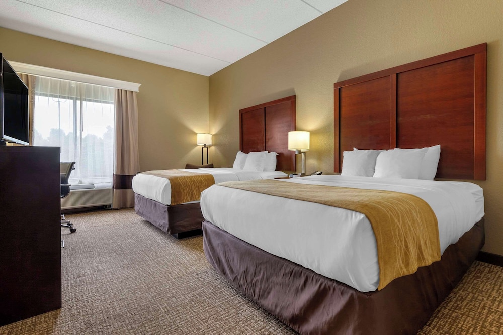 Comfort Inn & Suites Mocksville I 40 - photo 10