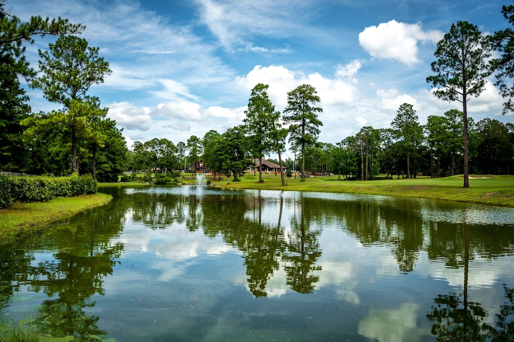 Rayburn Country Resort - photo 108