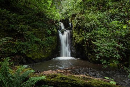 Taylor Creek Lodge — 4-Star Luxury Hotel in Gold Beach, United States