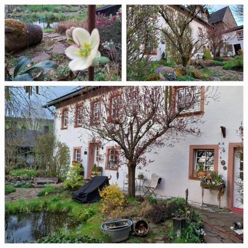 Ferienwohnung Zum Jehöschnis — 4-Star Luxury Hotel in Gerolstein, Germany
