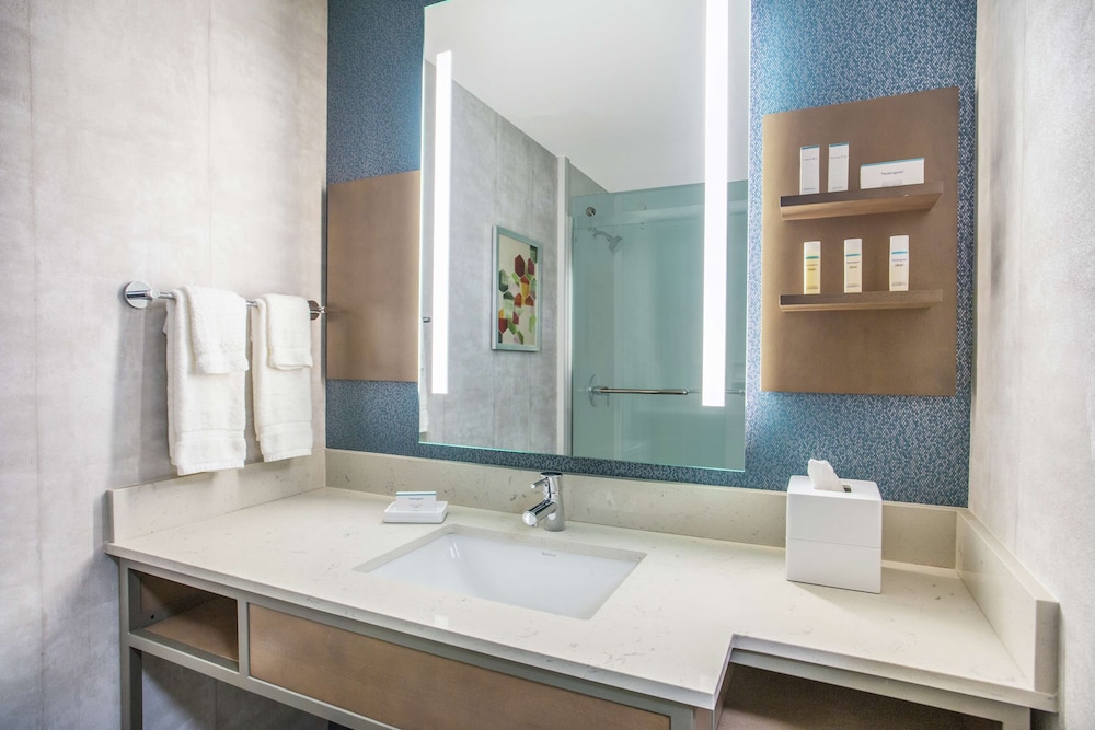 Hilton Garden Inn Palm Beach Gardens - photo 45