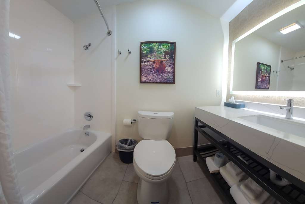 La Quinta Inn & Suites by Wyndham Dallas Mesquite - photo 38