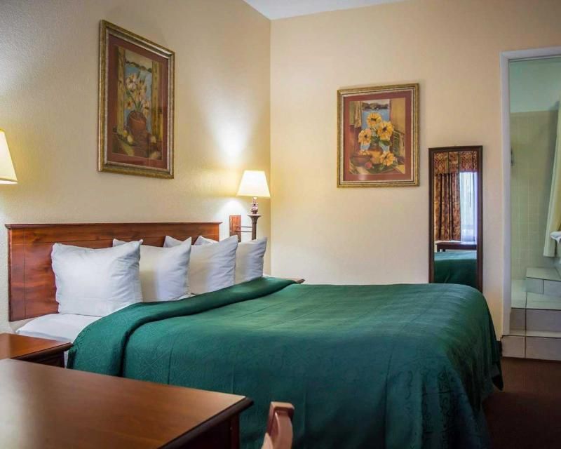 Quality Inn Weeki Wachee Spring Hill - photo 25