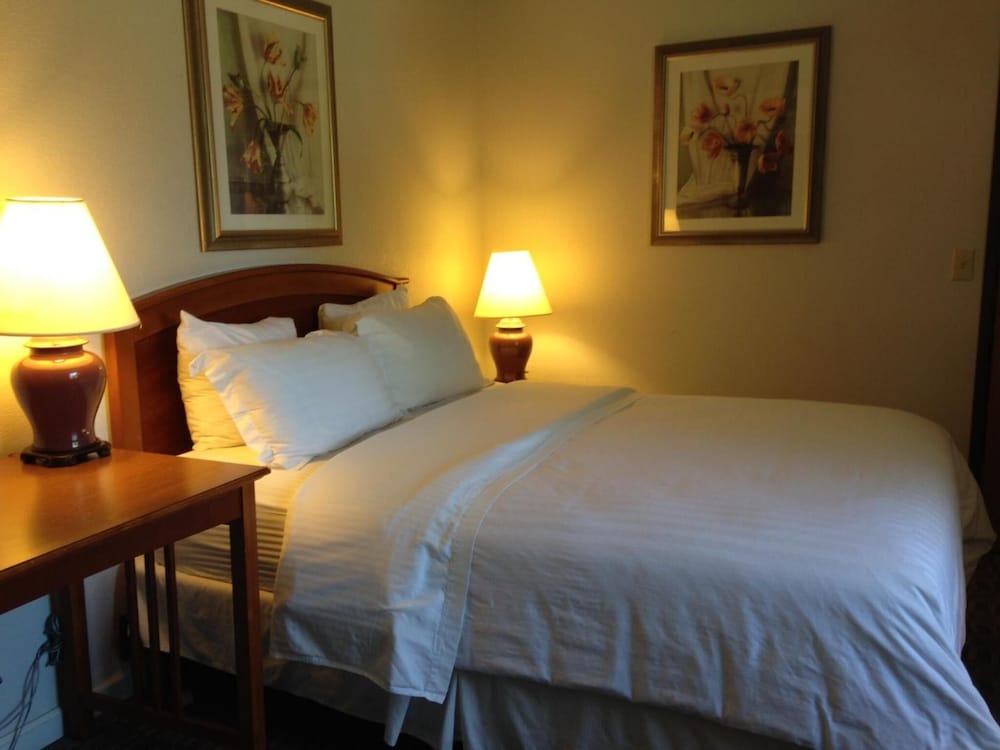 Hotel Buena Vista - photo 9